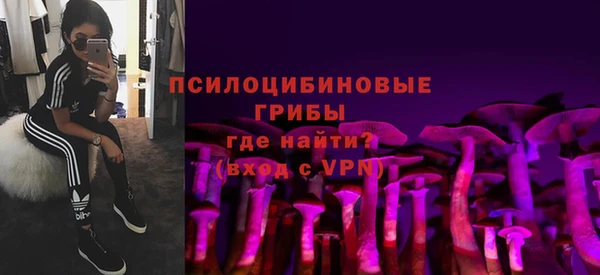Альфа ПВП Алзамай
