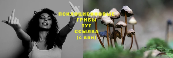 PSILOCYBIN Алексеевка