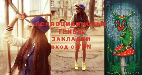 Альфа ПВП Алзамай