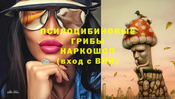 PSILOCYBIN Алексеевка