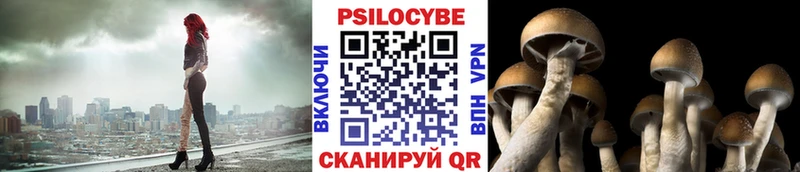 Псилоцибиновые грибы мухоморы  блэк спрут ССЫЛКА  Большой Камень  где купить  